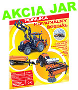 ikona